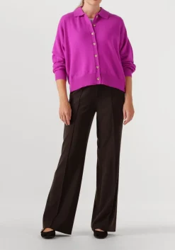 absolut cashmere majura