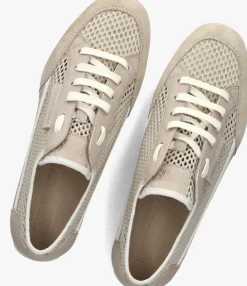 beige candice cooper lage sneakers dafne 2