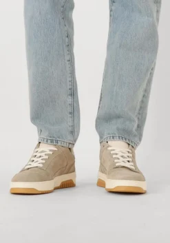 beige nubikk lage sneakers basket court miele