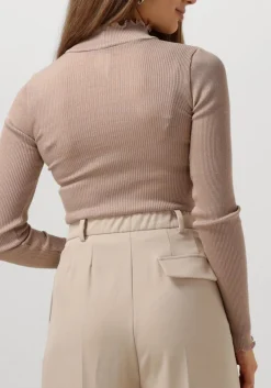 beige rosemunde top boston turtleneck w/ lurex