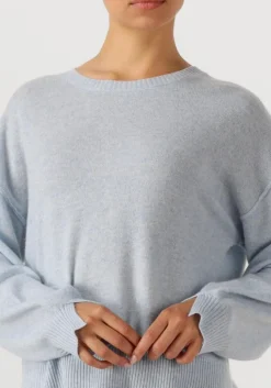 blauwe absolut cashmere truien/vesten caterina