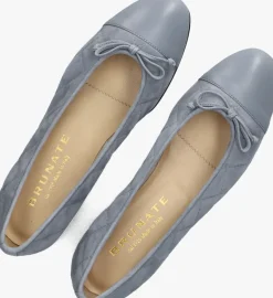 blauwe brunate ballerina's 10405