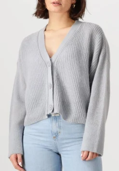 blauwe dante6 vest utah cropped cardigan
