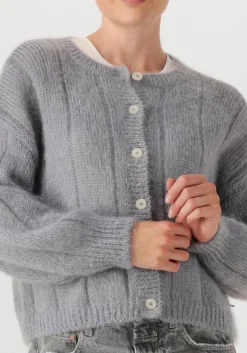 blauwe des petits hauts vest chouette