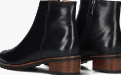 blauwe everybody enkellaarsjes belport