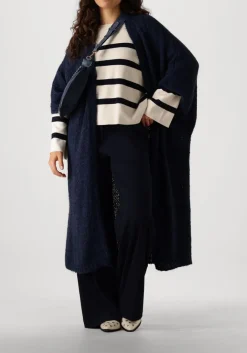 blauwe vanessa bruno schoudertas sac banane