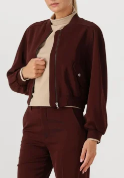 bordeaux drykorn jack marham