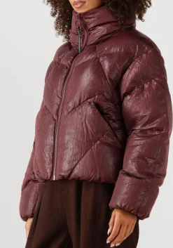 bordeaux krakatau gewatteerde jas qw531