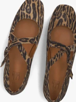 bruine billi bi ballerina's a8314