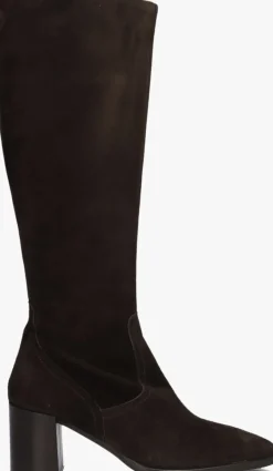 bruine blasz hoge laarzen 106