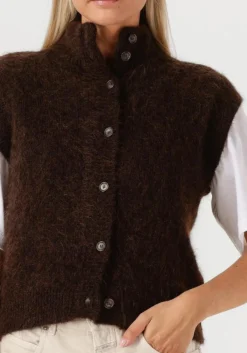 bruine des petits hauts vest alibou