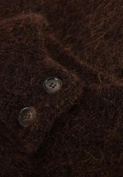 bruine des petits hauts vest alibou