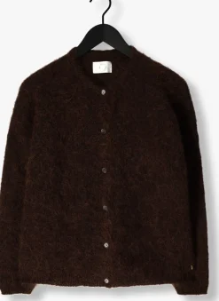 bruine des petits hauts vest bea