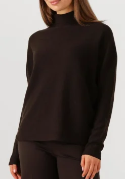 bruine drykorn coltrui liora