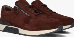 bruine greve lage sneakers haarlem k