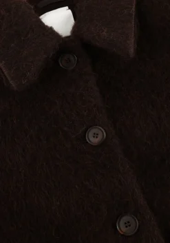 bruine japan tky jack chiho