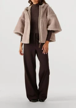 bruine luisa cerano trui 128725/5933