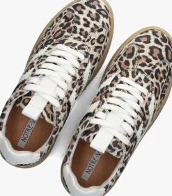 bruine notre-v lage sneakers anemone-63