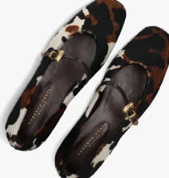 bruine roberto festa ballerina's grisel