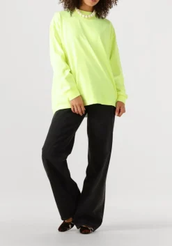 bruine roberto festa ballerina's grisel