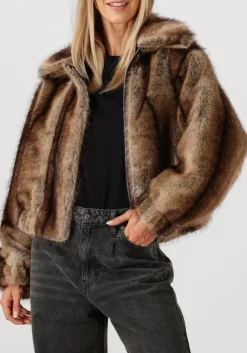 bruine studio ar jassen lucy