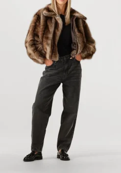 bruine studio ar jassen lucy