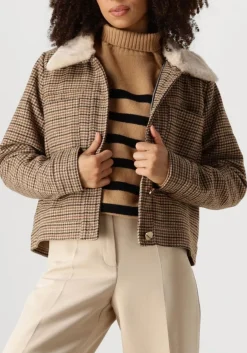 bruine suncoo jack eden