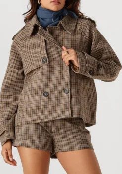 bruine suncoo jack erin