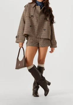 bruine suncoo jack erin