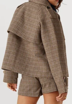 bruine suncoo jack erin