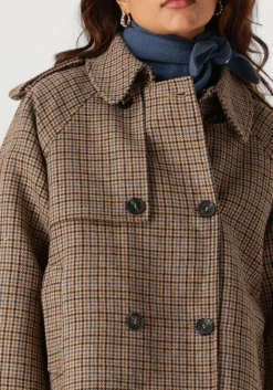 bruine suncoo jack erin