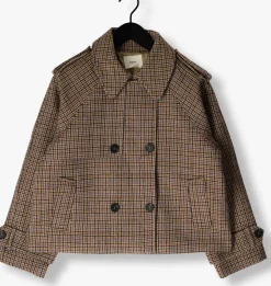 bruine suncoo jack erin