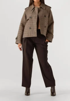 bruine suncoo jack erin