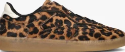 bruine the hoff brand lage sneakers alley leopard