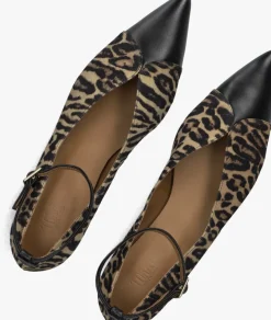 bruine toral ballerina's cristelle