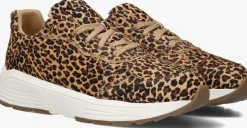 bruine xsensible lage sneakers chain