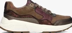 bruine xsensible lage sneakers golden gate lady