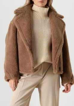 camel alter ego teddy jas judy