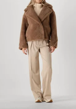 camel alter ego teddy jas judy