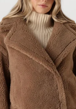 camel alter ego teddy jas judy