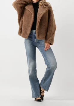 camel alter ego teddy jas judy