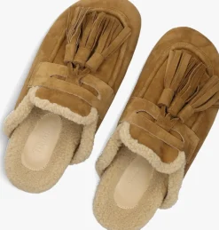 camel toral instappers ariana