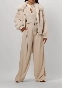 creme dante6 top feline top