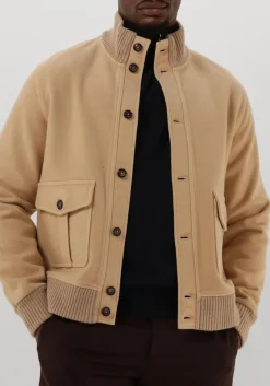 donkerblauwe circolo jack wool valstar