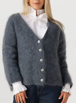 donkergrijze amaya amsterdam vest roos knitwear