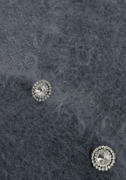 donkergrijze amaya amsterdam vest roos knitwear