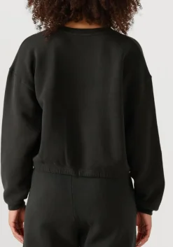 donkergrijze american vintage sweater izubird d