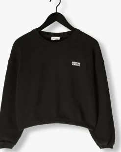 donkergrijze american vintage sweater izubird d