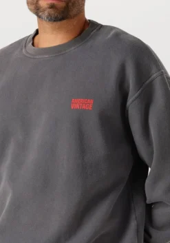 donkergrijze american vintage sweater plizzy 1