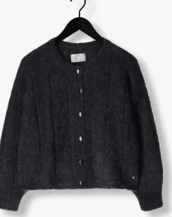 donkergrijze des petits hauts vest chouette